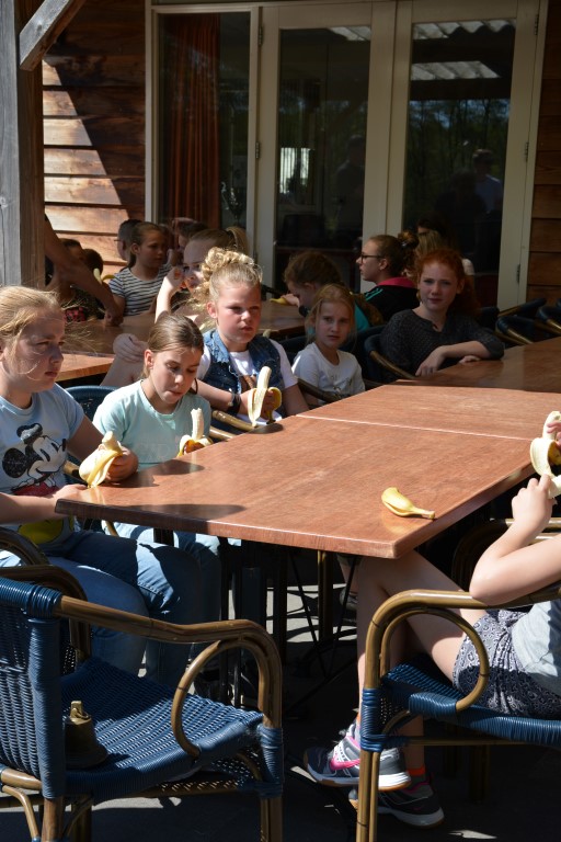 DSC_0333 (Medium).JPG